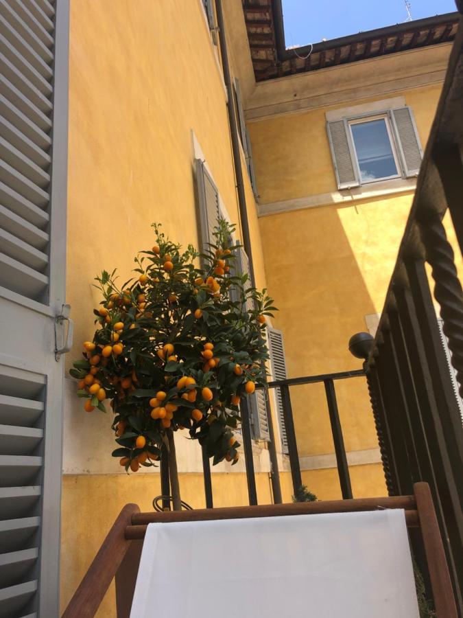 New! Bellissimo Palazzofranchi Pantheon Apartment Rome Exterior photo